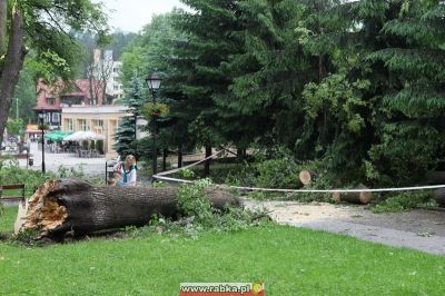 Kliknij aby obejrzeć w pełnym rozmiarze