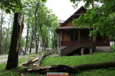 Kliknij aby obejrzeć w pełnym rozmiarze