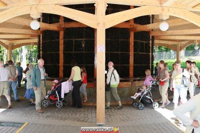 Kliknij aby obejrzeć w pełnym rozmiarze