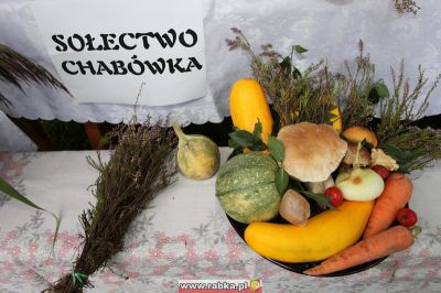 Kliknij aby obejrzeć w pełnym rozmiarze