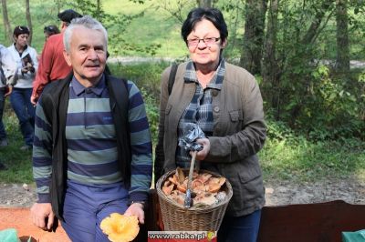 Kliknij aby obejrzeć w pełnym rozmiarze