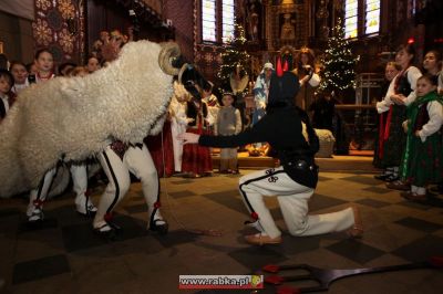 Kliknij aby obejrzeć w pełnym rozmiarze