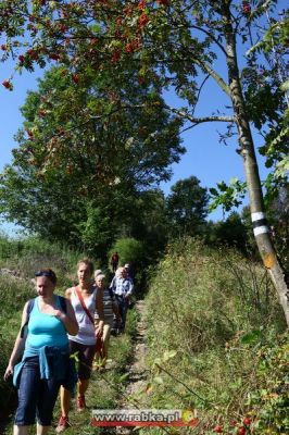 Kliknij aby obejrzeć w pełnym rozmiarze