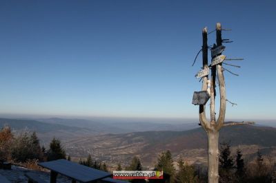 Kliknij aby obejrzeć w pełnym rozmiarze