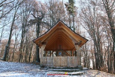 Kliknij aby obejrzeć w pełnym rozmiarze