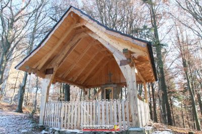 Kliknij aby obejrzeć w pełnym rozmiarze