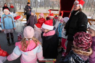 Kliknij aby obejrzeć w pełnym rozmiarze