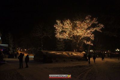Kliknij aby obejrzeć w pełnym rozmiarze