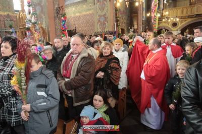 Kliknij aby obejrzeć w pełnym rozmiarze