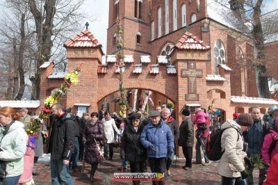 Kliknij aby obejrzeć w pełnym rozmiarze