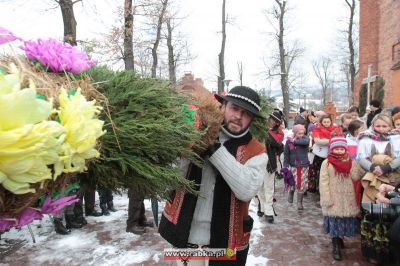 Kliknij aby obejrzeć w pełnym rozmiarze