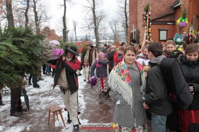 Kliknij aby obejrzeć w pełnym rozmiarze
