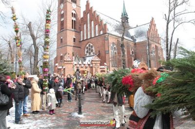 Kliknij aby obejrzeć w pełnym rozmiarze
