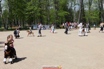 Kliknij aby obejrzeć w pełnym rozmiarze