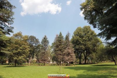 Kliknij aby obejrzeć w pełnym rozmiarze