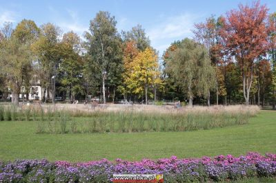 Kliknij aby obejrzeć w pełnym rozmiarze