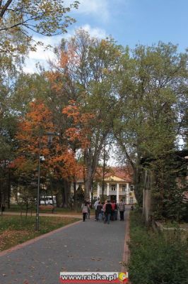 Kliknij aby obejrzeć w pełnym rozmiarze