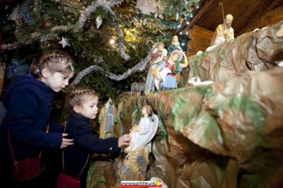 Kliknij aby obejrzeć w pełnym rozmiarze