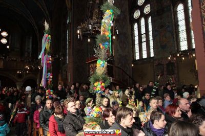 Kliknij aby obejrzeć w pełnym rozmiarze