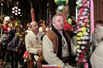 Kliknij aby obejrzeć w pełnym rozmiarze