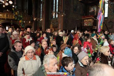 Kliknij aby obejrzeć w pełnym rozmiarze