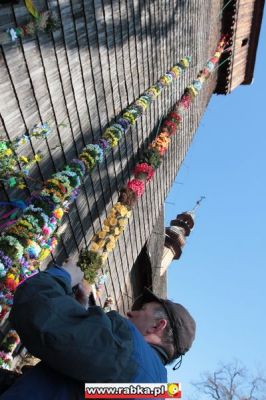 Kliknij aby obejrzeć w pełnym rozmiarze