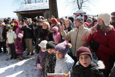 Kliknij aby obejrzeć w pełnym rozmiarze