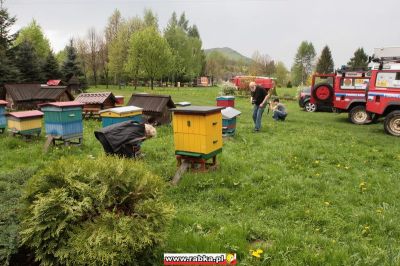 Kliknij aby obejrzeć w pełnym rozmiarze
