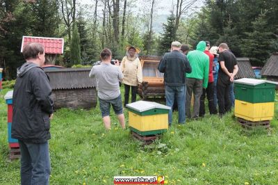 Kliknij aby obejrzeć w pełnym rozmiarze