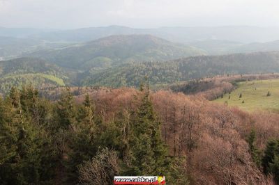 Kliknij aby obejrzeć w pełnym rozmiarze