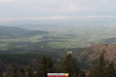 Kliknij aby obejrzeć w pełnym rozmiarze