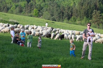 Kliknij aby obejrzeć w pełnym rozmiarze