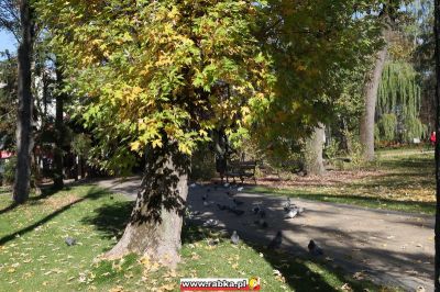 Kliknij aby obejrzeć w pełnym rozmiarze