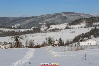 Kliknij aby obejrzeć w pełnym rozmiarze