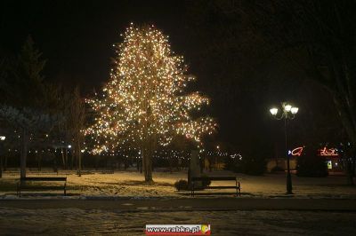 Kliknij aby obejrzeć w pełnym rozmiarze