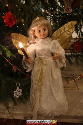 Kliknij aby obejrzeć w pełnym rozmiarze