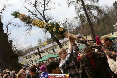 Kliknij aby obejrzeć w pełnym rozmiarze