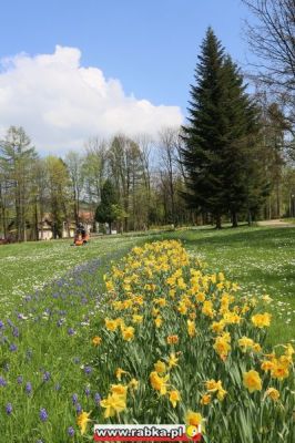 Kliknij aby obejrzeć w pełnym rozmiarze