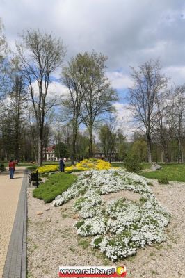 Kliknij aby obejrzeć w pełnym rozmiarze