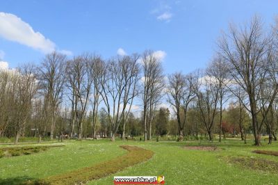 Kliknij aby obejrzeć w pełnym rozmiarze