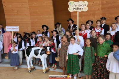 Kliknij aby obejrzeć w pełnym rozmiarze