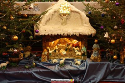 Kliknij aby obejrzeć w pełnym rozmiarze