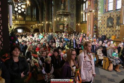 Kliknij aby obejrzeć w pełnym rozmiarze