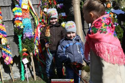 Kliknij aby obejrzeć w pełnym rozmiarze