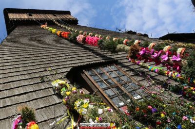 Kliknij aby obejrzeć w pełnym rozmiarze