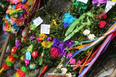 Kliknij aby obejrzeć w pełnym rozmiarze