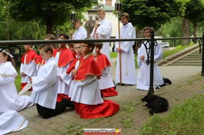 Kliknij aby obejrzeć w pełnym rozmiarze