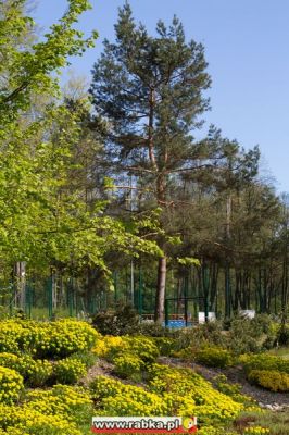 Kliknij aby obejrzeć w pełnym rozmiarze