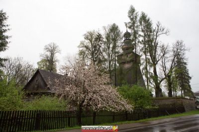 Kliknij aby obejrzeć w pełnym rozmiarze