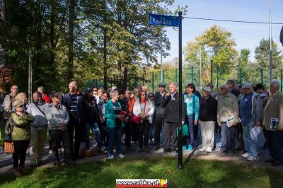 Kliknij aby obejrzeć w pełnym rozmiarze